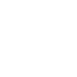 Children's Rights