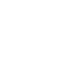Digital Rights