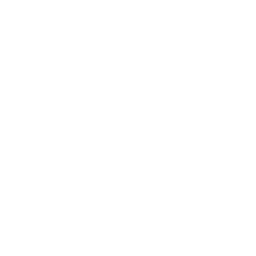 Human Rights