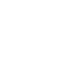 Access To Justice & The Rule Of Law